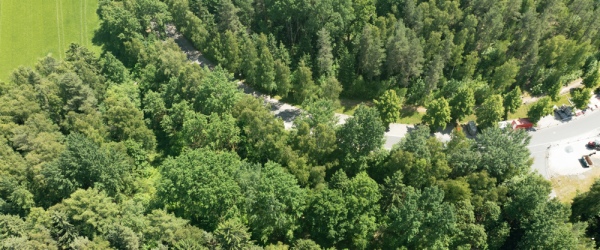 3 Grundstücke nahe Sibyllenbad – Ideal für Investoren aus dem Pflegeebereich und Gesundheitssektor in Bad Neualbenreuth | optimhome Immobilien Deutschland • Kaufen & Verkaufen Bild 3 Grundstücke nahe Sibyllenbad – Ideal für Investoren aus dem Pflegeebereich und Gesundheitssektor in