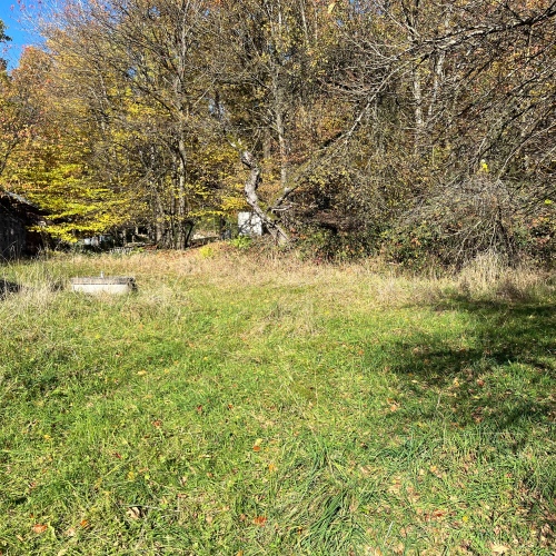 ***Natur pur!*** optimhome Immobilien Deutschland • Kaufen & Verkaufen