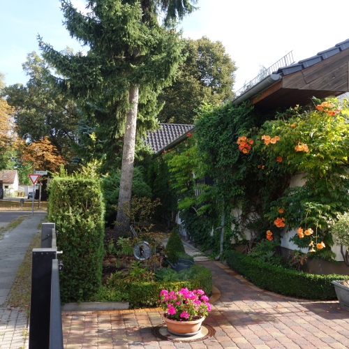 VERMIETET - Luxuriöser Winkelbungalow mit ca. 300 m² Wohn-/ Nutzfläche am Dorfanger optimhome Immobilien Deutschland • Kaufen & Verkaufen