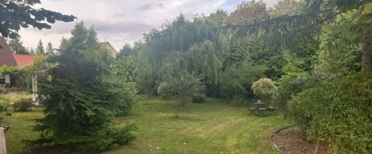 Ruhiges, attraktives Baugrundstück in Süderholz in Süderholz | optimhome Immobilien Deutschland • Kaufen & Verkaufen Bild Ruhiges, attraktives Baugrundstück in Süderholz in Süderholz