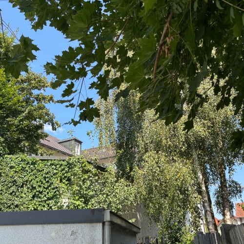 ***Nutzen Sie die Möglichkeiten - Investment in zentraler Lage*** optimhome Immobilien Deutschland • Kaufen & Verkaufen