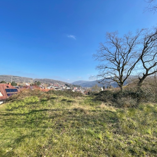 Ihr Platz zum Aufatmen – Ruhige Lage mit traumhaftem Fernblick über Collenberg optimhome Immobilien Deutschland • Kaufen & Verkaufen Ihr Platz zum Aufatmen – Ruhige Lage mit traumhaftem Fernblick über Collenberg optimhome Immobilien Deutschland • Kaufen & Verkaufen