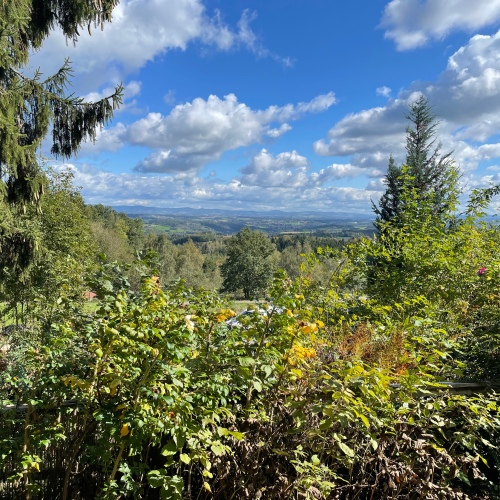 ***Der Natur so nahe - ruhiges und idyllisches Domizil*** optimhome Immobilien Deutschland • Kaufen & Verkaufen ***Der Natur so nahe - ruhiges und idyllisches Domizil*** optimhome Immobilien Deutschland • Kaufen & Verkaufen