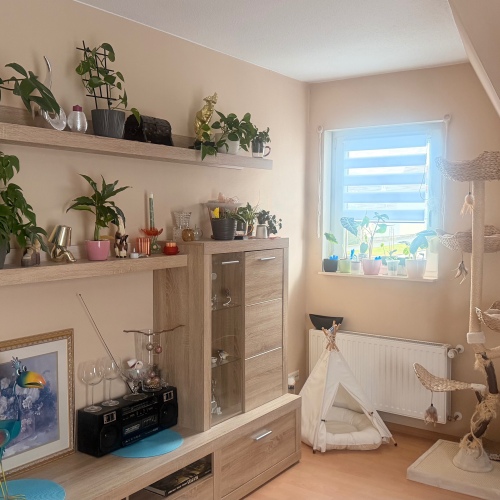 Ruhige Perle mit viel Platz optimhome Immobilien Deutschland • Kaufen & Verkaufen