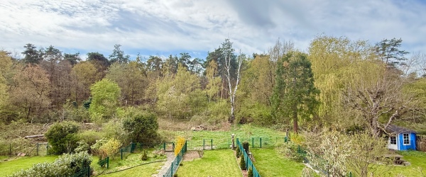 Bild Familienglück in direkter Waldrandlage! Moderne Reihenhaus sucht zuverlässigen Mieter! in 
