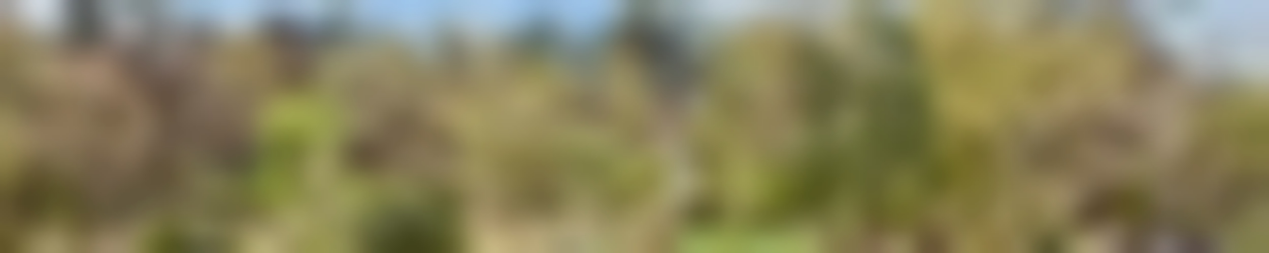 Exposé optimhome Immobilien Deutschland • Kaufen & Verkaufen