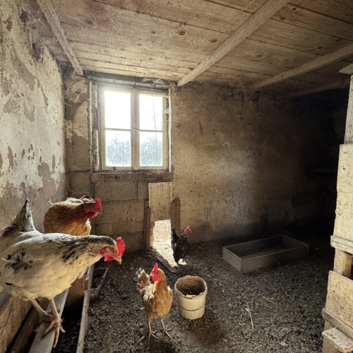 Geräumiges Wohnhaus in ruhiger Lage, mit Scheune, Garten und vielen Möglichkeiten zur Gestaltung optimhome Immobilien Deutschland • Kaufen & Verkaufen Geräumiges Wohnhaus in ruhiger Lage, mit Scheune, Garten und vielen Möglichkeiten zur Gestaltung optimhome Immobilien Deutschland • Kaufen & Verkaufen