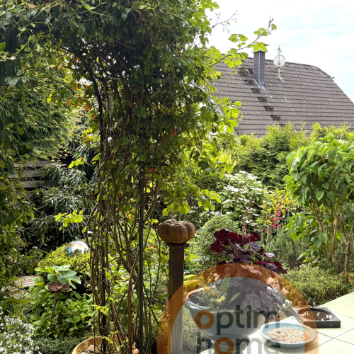 🧡 Stilvolle Maisonettewohnung mit Traumgarten in begehrter Lage von Rösrath-Forsbach! optimhome Immobilien Deutschland • Kaufen & Verkaufen 🧡 Stilvolle Maisonettewohnung mit Traumgarten in begehrter Lage von Rösrath-Forsbach! optimhome Immobilien Deutschland • Kaufen & Verkaufen