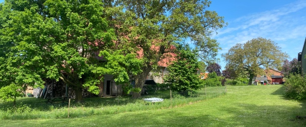 Bild Baugundstück im Altdorf auf ca. 960 qm Grundstück in Groß Meinsdorf