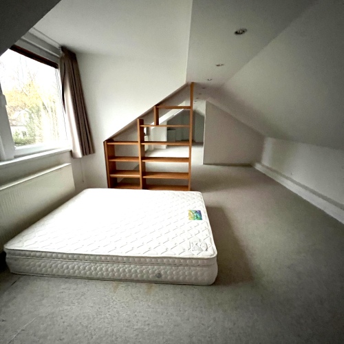 VERMIETET - Luxuriöser Winkelbungalow mit ca. 300 m² Wohn-/ Nutzfläche am Dorfanger optimhome Immobilien Deutschland • Kaufen & Verkaufen
