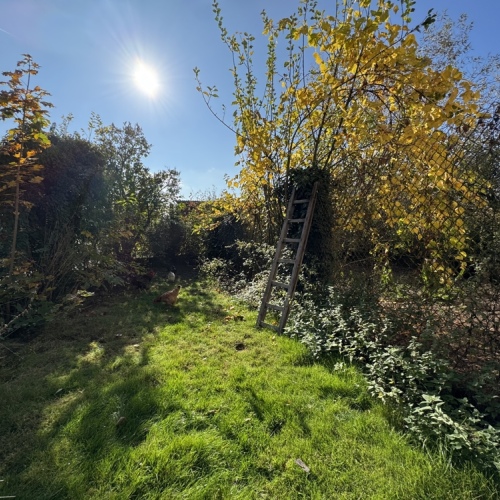 Geräumiges Wohnhaus in ruhiger Lage, mit Scheune, Garten und vielen Möglichkeiten zur Gestaltung optimhome Immobilien Deutschland • Kaufen & Verkaufen Geräumiges Wohnhaus in ruhiger Lage, mit Scheune, Garten und vielen Möglichkeiten zur Gestaltung optimhome Immobilien Deutschland • Kaufen & Verkaufen