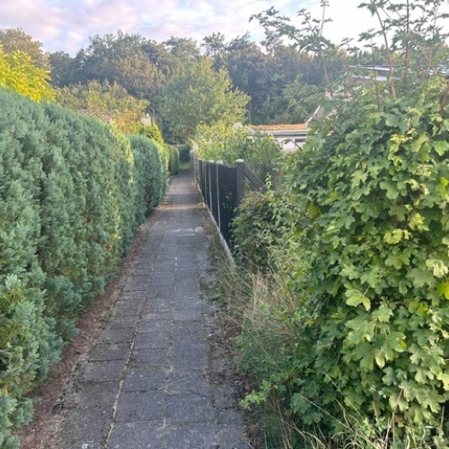 Charmantes, kleines Einfamilienhaus auf eigenem Grundstück in der Klosterstadt Dobbertin, nahe von Dobbertiner See! optimhome Immobilien Deutschland • Kaufen & Verkaufen Charmantes, kleines Einfamilienhaus auf eigenem Grundstück in der Klosterstadt Dobbertin, nahe von Dobbertiner See! optimhome Immobilien Deutschland • Kaufen & Verkaufen