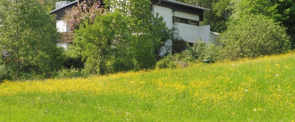 ***Ruhe und Erholung im Grünen*** in Wegscheid | optimhome Immobilien Deutschland • Kaufen & Verkaufen Bild ***Ruhe und Erholung im Grünen*** in