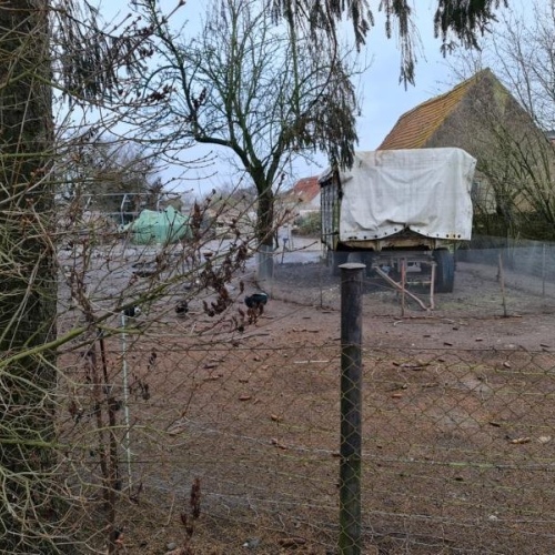 ca. 7.km. von Laage... knapp 20 km. nach Güstrow optimhome Immobilien Deutschland • Kaufen & Verkaufen ca. 7.km. von Laage... knapp 20 km. nach Güstrow optimhome Immobilien Deutschland • Kaufen & Verkaufen