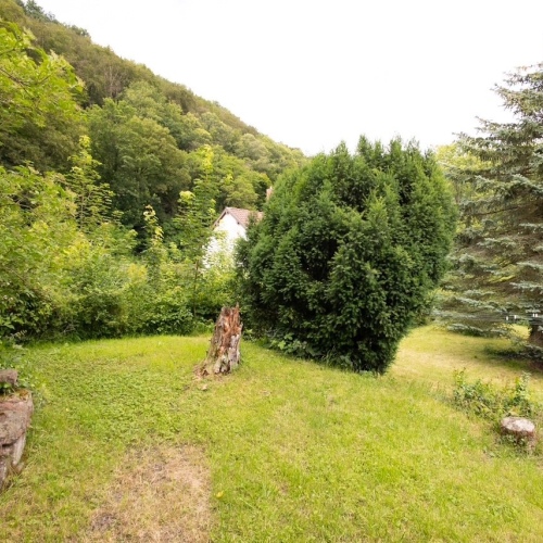 Liebhaber-Objekt : Naturstein-Haus mit großem Gartengrundstück in Ortsrandlage (Talstraße) optimhome Immobilien Deutschland • Kaufen & Verkaufen