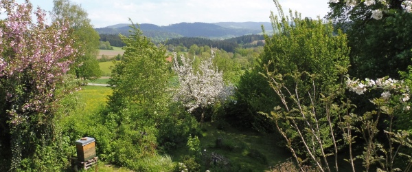***Naturnah Wohnen - Freiheit genießen*** in Wegscheid | optimhome Immobilien Deutschland • Kaufen & Verkaufen Bild ***Naturnah Wohnen - Freiheit genießen*** in Wegscheid