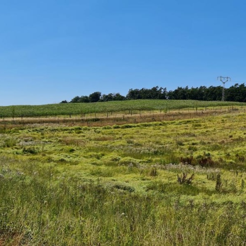 ca. 300 m. zum See !!! optimhome Immobilien Deutschland • Kaufen & Verkaufen ca. 300 m. zum See !!! optimhome Immobilien Deutschland • Kaufen & Verkaufen