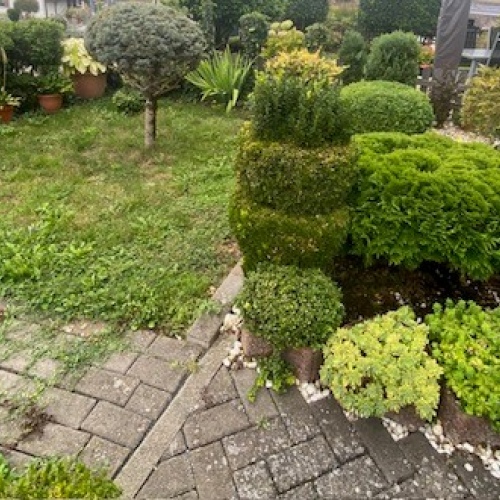 VERKAUFT ! Charmante EG Wohnung mit Gartennutzung in Sörgenloch optimhome Immobilien Deutschland • Kaufen & Verkaufen VERKAUFT ! Charmante EG Wohnung mit Gartennutzung in Sörgenloch optimhome Immobilien Deutschland • Kaufen & Verkaufen