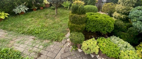 Bild VERKAUFT ! Charmante EG Wohnung mit Gartennutzung in Sörgenloch in Sörgenloch