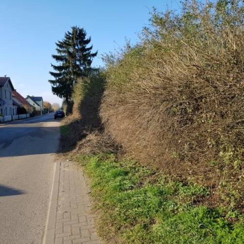 ca. 7.km. von Laage... knapp 20 km. nach Güstrow optimhome Immobilien Deutschland • Kaufen & Verkaufen ca. 7.km. von Laage... knapp 20 km. nach Güstrow optimhome Immobilien Deutschland • Kaufen & Verkaufen