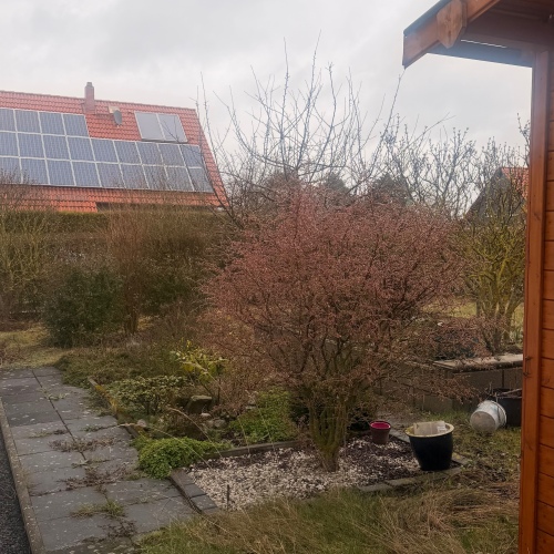 Ruhige Perle mit viel Platz optimhome Immobilien Deutschland • Kaufen & Verkaufen