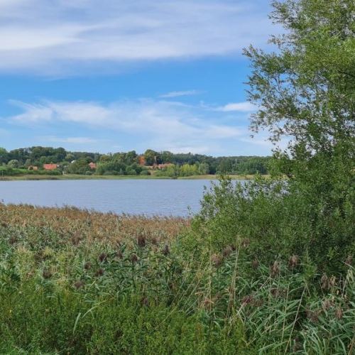 ca. 300 m. zum See !!! optimhome Immobilien Deutschland • Kaufen & Verkaufen ca. 300 m. zum See !!! optimhome Immobilien Deutschland • Kaufen & Verkaufen