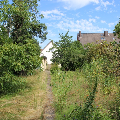 Einfamilienhaus für die große Familie mit XXL-Garten optimhome Immobilien Deutschland • Kaufen & Verkaufen Einfamilienhaus für die große Familie mit XXL-Garten optimhome Immobilien Deutschland • Kaufen & Verkaufen