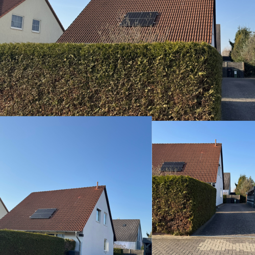 Gemütliches Einfamilienhaus optimhome Immobilien Deutschland • Kaufen & Verkaufen Gemütliches Einfamilienhaus optimhome Immobilien Deutschland • Kaufen & Verkaufen