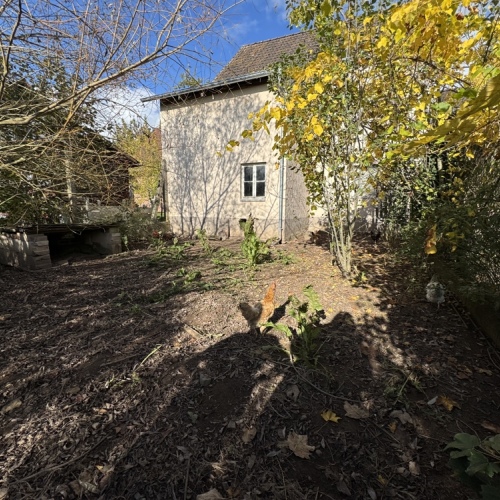 Geräumiges Wohnhaus in ruhiger Lage, mit Scheune, Garten und vielen Möglichkeiten zur Gestaltung optimhome Immobilien Deutschland • Kaufen & Verkaufen