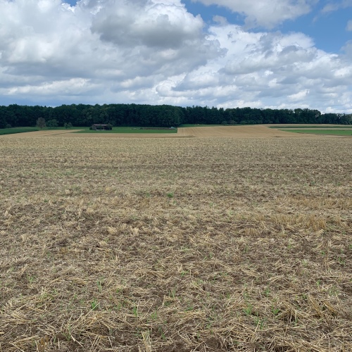 3 Landwirtschaftliche Flächen im Bieterverfahren abzugeben optimhome Immobilien Deutschland • Kaufen & Verkaufen