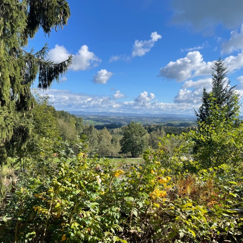 ***Der Natur so nahe - ruhiges und idyllisches Domizil*** optimhome Immobilien Deutschland • Kaufen & Verkaufen ***Der Natur so nahe - ruhiges und idyllisches Domizil*** optimhome Immobilien Deutschland • Kaufen & Verkaufen
