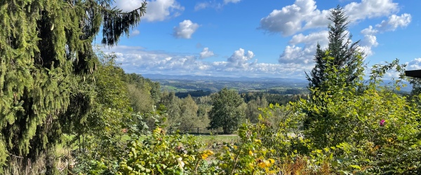 Bild ***Der Natur so nahe - ruhiges und idyllisches Domizil*** in 