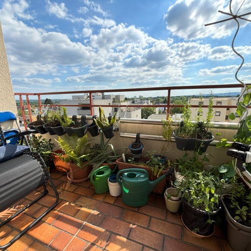 RESERVIERT Investieren in Frankfurt: Vermietete 1-Zimmer-Wohnung in zentraler Lage optimhome Immobilien Deutschland • Kaufen & Verkaufen RESERVIERT Investieren in Frankfurt: Vermietete 1-Zimmer-Wohnung in zentraler Lage optimhome Immobilien Deutschland • Kaufen & Verkaufen