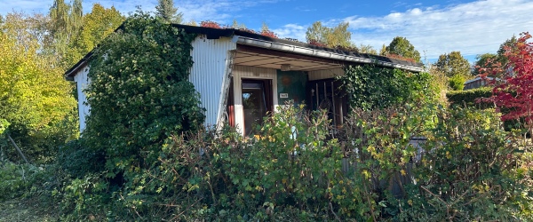 Bild Charmantes, kleines Einfamilienhaus auf eigenem Grundstück in der Klosterstadt Dobbertin, nahe von Dobbertiner See! in Dobbertin