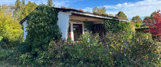 Bild Charmantes, kleines Einfamilienhaus auf eigenem Grundstück in der Klosterstadt Dobbertin, nahe von Dobbertiner See! in Dobbertin