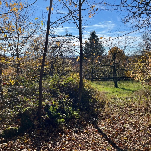 ***Natur pur!*** optimhome Immobilien Deutschland • Kaufen & Verkaufen