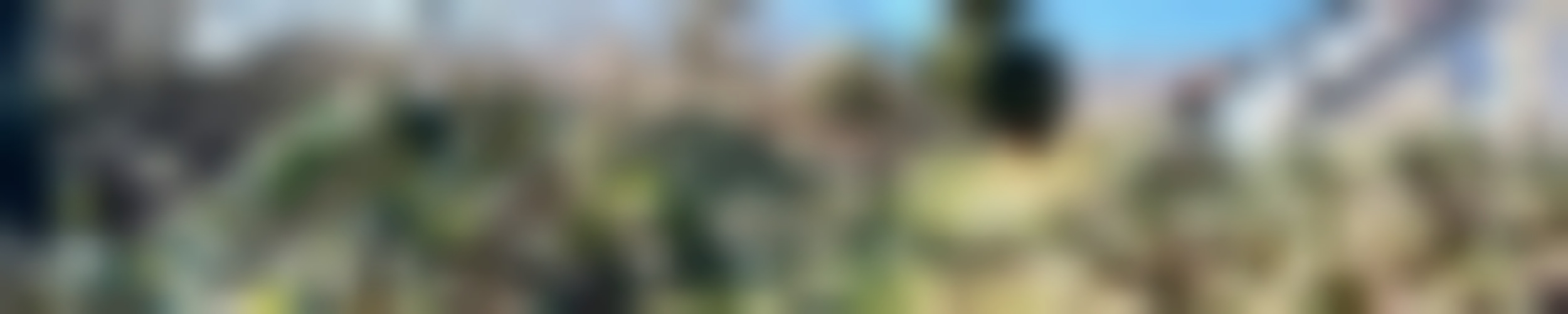 Exposé optimhome Immobilien Deutschland • Kaufen & Verkaufen