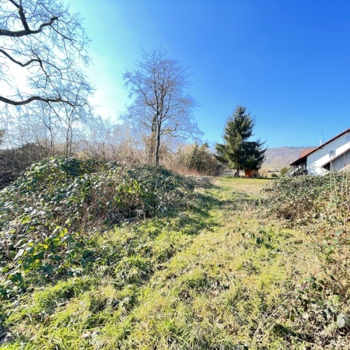 Ihr Platz zum Aufatmen – Ruhige Lage mit traumhaftem Fernblick über Collenberg optimhome Immobilien Deutschland • Kaufen & Verkaufen Ihr Platz zum Aufatmen – Ruhige Lage mit traumhaftem Fernblick über Collenberg optimhome Immobilien Deutschland • Kaufen & Verkaufen