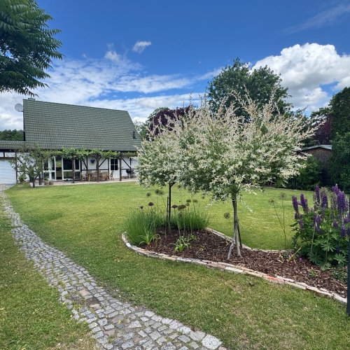 Stilvolles idyllisches Fachwerkhaus mit beheizter Doppelgarage und einem traumhaften Garten optimhome Immobilien Deutschland • Kaufen & Verkaufen Stilvolles idyllisches Fachwerkhaus mit beheizter Doppelgarage und einem traumhaften Garten optimhome Immobilien Deutschland • Kaufen & Verkaufen