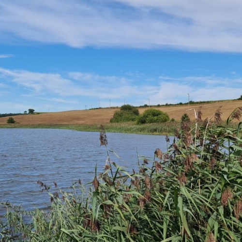 ca. 300 m. zum See !!! optimhome Immobilien Deutschland • Kaufen & Verkaufen ca. 300 m. zum See !!! optimhome Immobilien Deutschland • Kaufen & Verkaufen