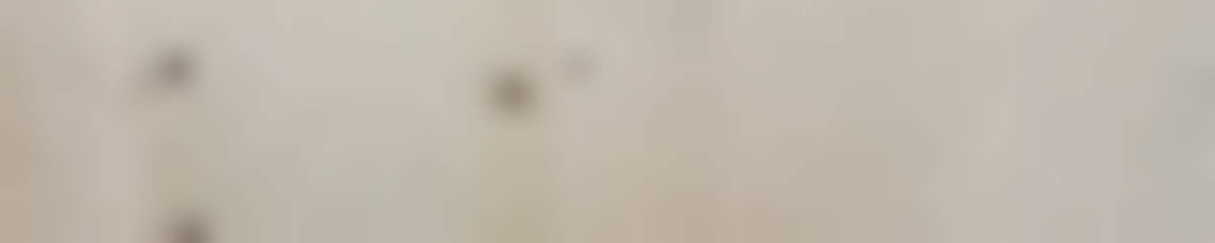 Exposé optimhome Immobilien Deutschland • Kaufen & Verkaufen