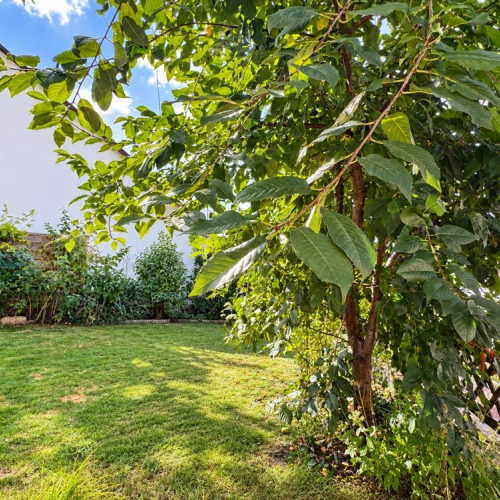 Selbst nutzen oder vermieten! Viel Platz für Familie & Zukunft – Garten, Terrassen und Weitblick optimhome Immobilien Deutschland • Kaufen & Verkaufen Selbst nutzen oder vermieten! Viel Platz für Familie & Zukunft – Garten, Terrassen und Weitblick optimhome Immobilien Deutschland • Kaufen & Verkaufen