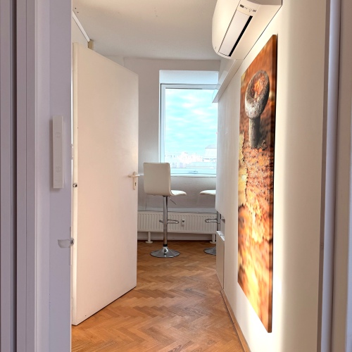 Tolle Dachgeschosswohnung mit Klimaanlage in der Innenstadt optimhome Immobilien Deutschland • Kaufen & Verkaufen