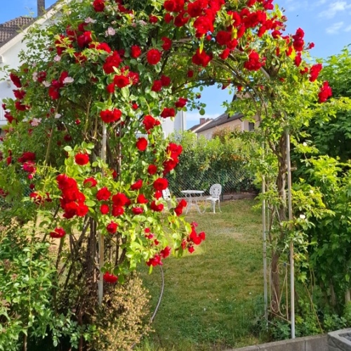 Einfamilienhaus in Mainnähe mit Garten, Ausbaupotenzial und viel Raum für Ideen optimhome Immobilien Deutschland • Kaufen & Verkaufen