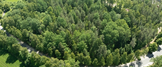 Bild Investmentchance: 3 Grundstücke nahe Sibyllenbad für Pflege & Gesundheit in Bad Neualbenreuth
