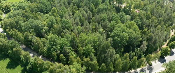 Bild Investmentchance: 3 Grundstücke nahe Sibyllenbad für Pflege & Gesundheit in 