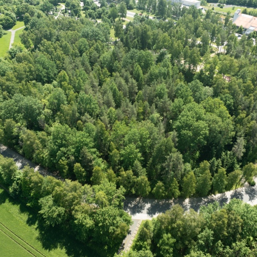 3 Grundstücke nahe Sybillenbad – Ideal für Investoren aus dem Pflegeebereich und Gesundheitssektor optimhome Immobilien Deutschland • Kaufen & Verkaufen 3 Grundstücke nahe Sybillenbad – Ideal für Investoren aus dem Pflegeebereich und Gesundheitssektor optimhome Immobilien Deutschland • Kaufen & Verkaufen