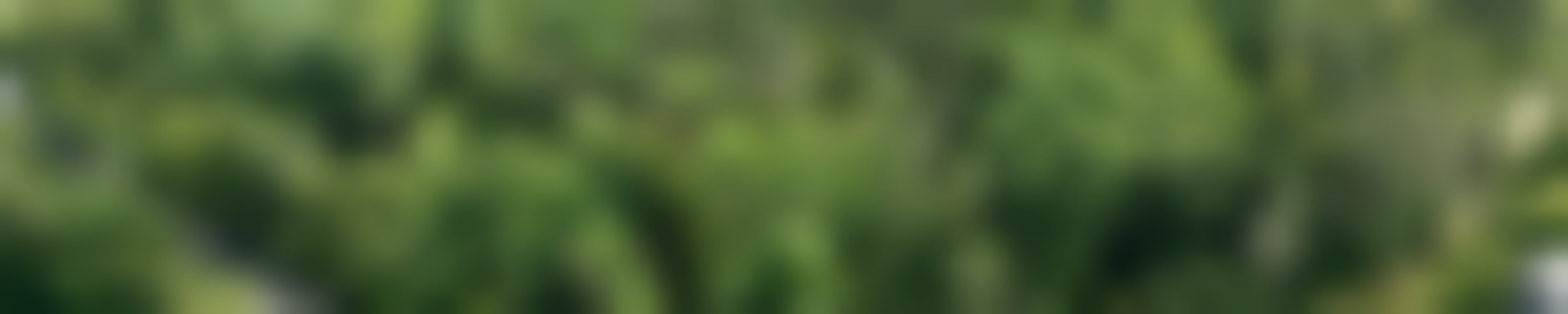 Exposé optimhome Immobilien Deutschland • Kaufen & Verkaufen