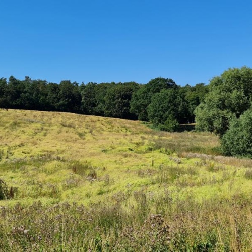 ca. 300 m. zum See !!! optimhome Immobilien Deutschland • Kaufen & Verkaufen ca. 300 m. zum See !!! optimhome Immobilien Deutschland • Kaufen & Verkaufen
