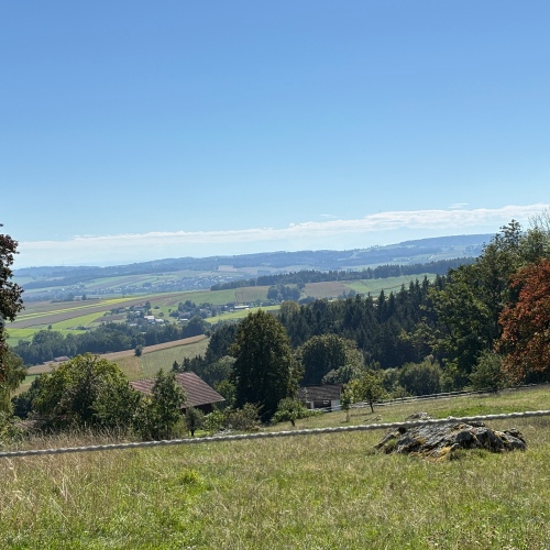 ***Für Naturliebhaber - viel Freiraum für Erholung und Gestaltungsideen*** optimhome Immobilien Deutschland • Kaufen & Verkaufen